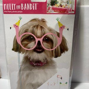 Pet Puppy Dog Party Photo Props Glasses Phot Shoot
